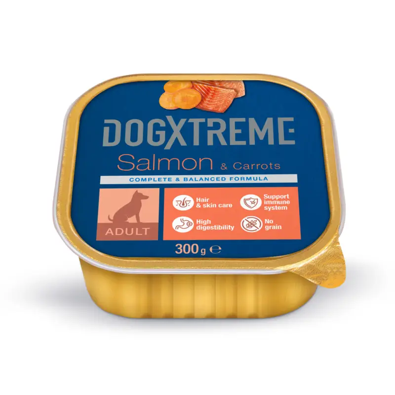 Acheter Direct DogXtreme – Bo&icirc;te au Saumon et aux Carottes pour Chien Adulte – 300g