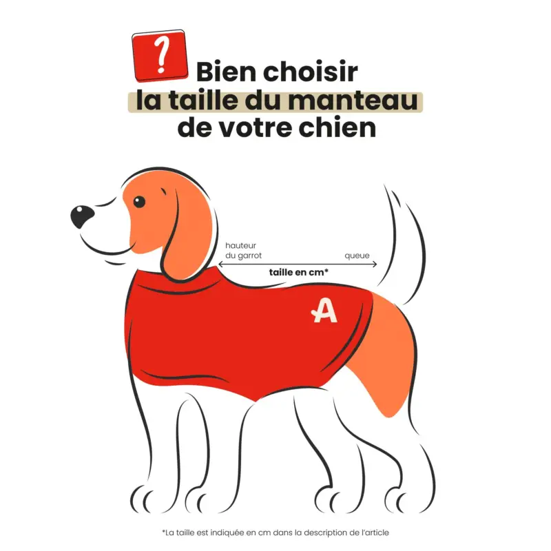 Vente Flash Bobby – Pull Today Bleu Glacier