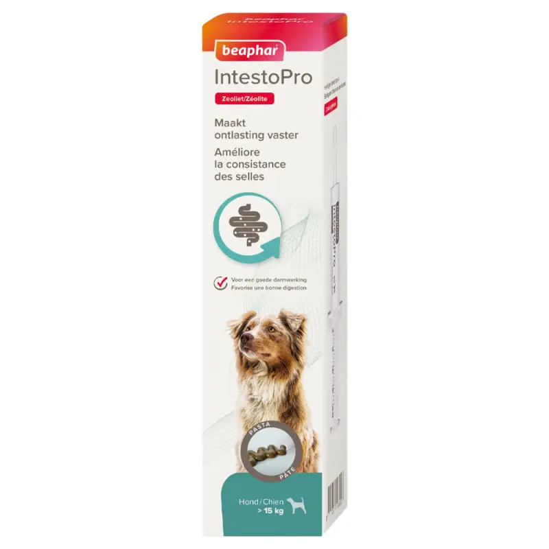 Beaphar – P&acirc;te IntestoPro pour Chiens (> 15 kg) – 2x 20ml Offre Limitée