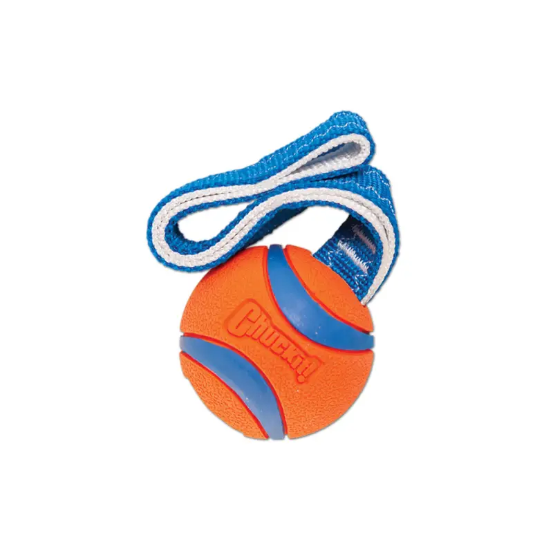 Petmate – JouetCHUCKIT! Ultra Tug – LG Petit Prix