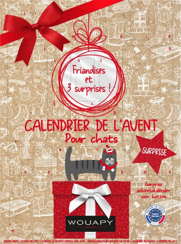 Wouapy – Calendrier de l'Avent Surprise – Chat Paiement Sécurisé