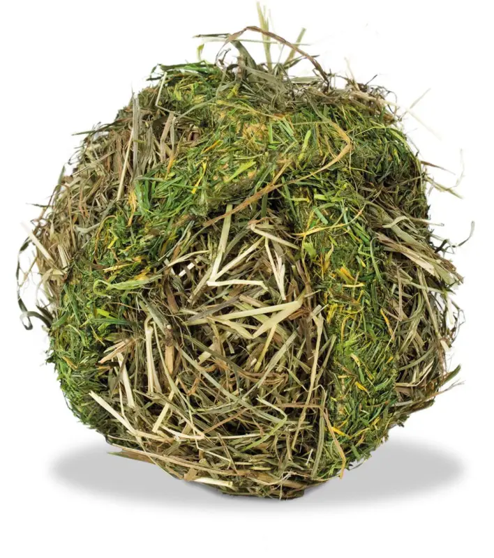 Rongis – BOULE DE FOIN pour rongeurs – 125g Offre Spéciale