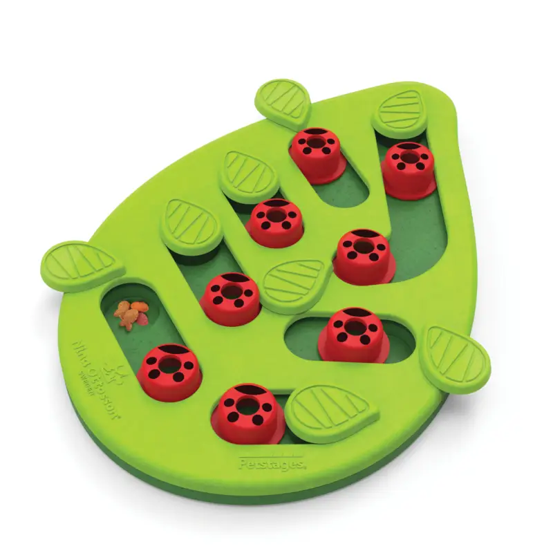 Prix Bas Nina Ottosson – Jeu Educatif Buggin'out pour Chats