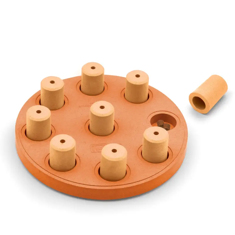 Commande En Gros Nina Ottosson – Jeu Educatif Dog Smart composite-Org pour Chiens