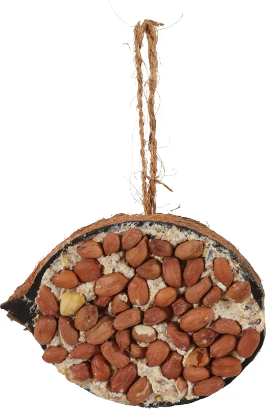 Zolux – Demi noix de coco avec graisse et arachide – 250g Bon Plan