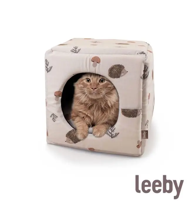 Leeby – Cube H&eacute;risson pour Chats Jusqu&rsquo;à Épuisement Des Stocks