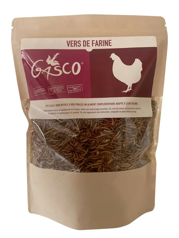 Gasco – VERS DE FARINE BASSE COUR 600GR Offre Du Jour