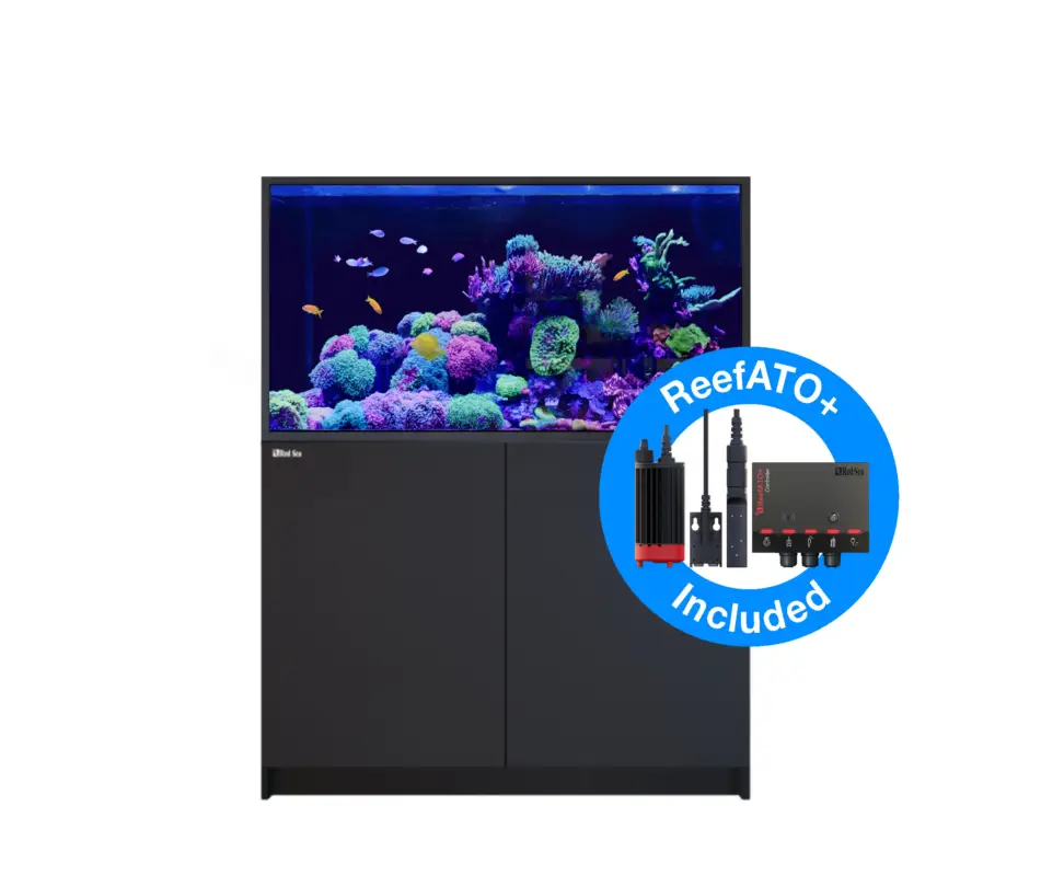 Haute Qualité Red Sea – REEFER – S550 G2+ NOIR