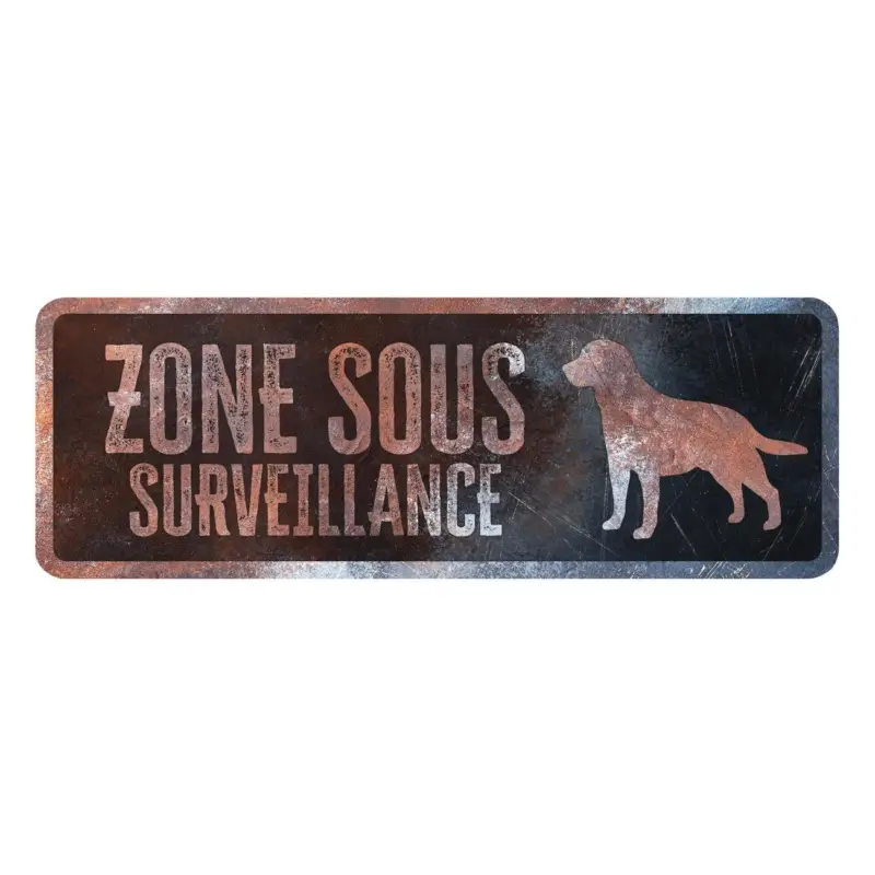 Expédié Aujourd&rsquo;hui D&D – Panneau d'avertissement Labrador Fran&ccedil;ais – 40x13x03cm Multicolore
