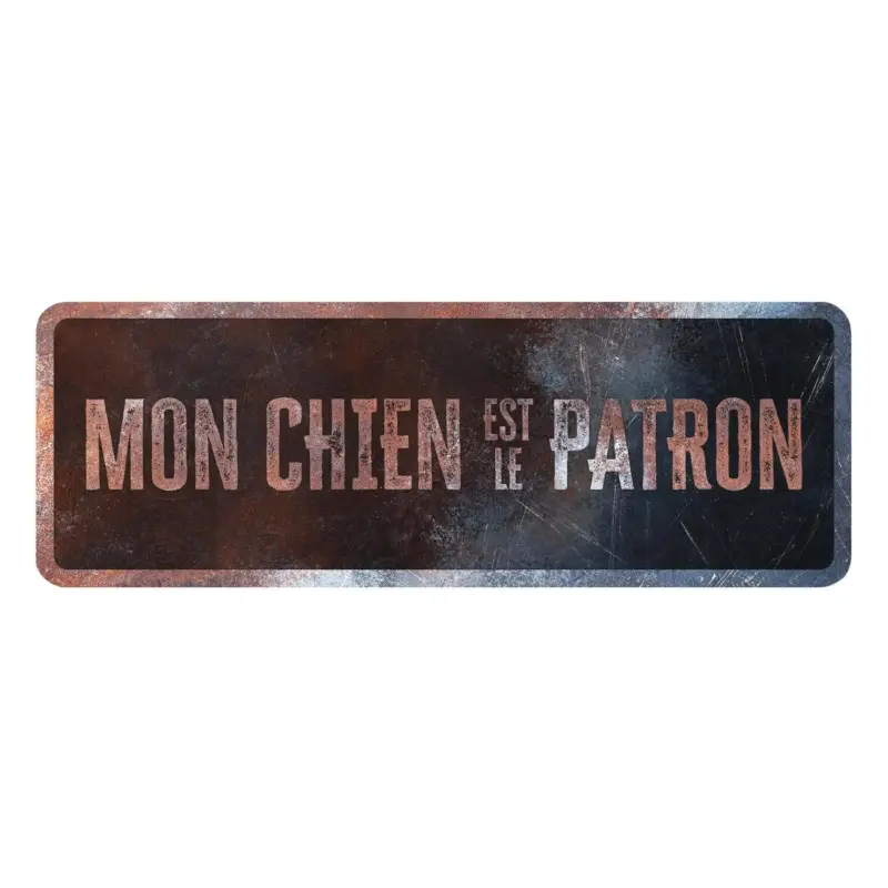Commande En Gros D&D – Panneau d'avertissement General 1 Fran&ccedil;ais – 40x13x03cm Multicolore