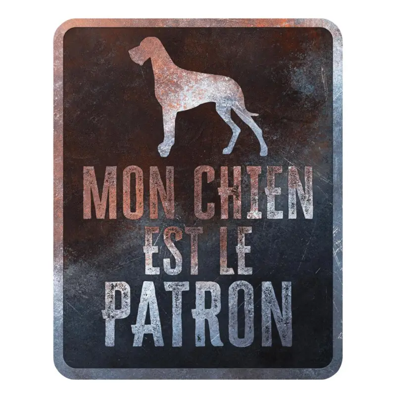 Quantité Limitée D&D – Panneau d'avertissement Danish dog Fran&ccedil;ais – 25x20x03cm Multicolore