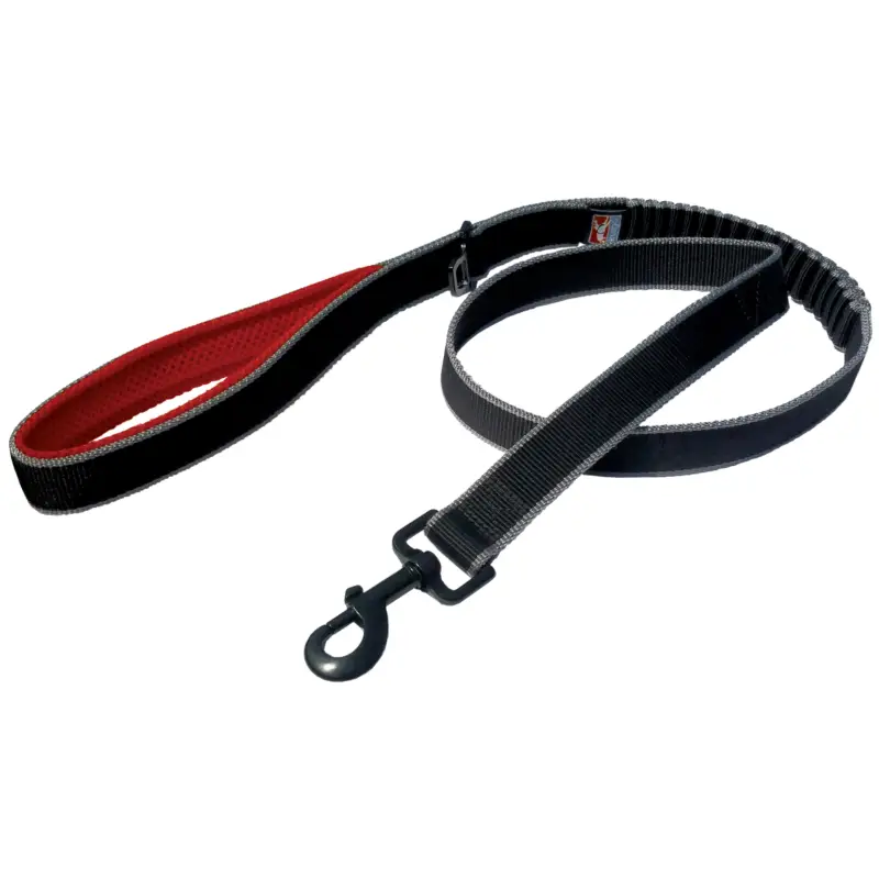Kurgo – Laisse de Traction « Springback » pour Chiens – 120cm Populaire