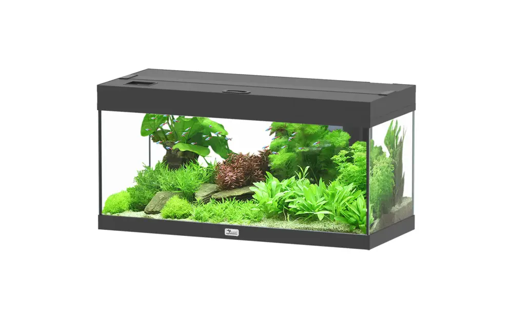 Expédition Rapide Aquatlantis – Aquarium PRESTIGE ULTRA 80 LED RGBW BIOBOX 85L – Noir