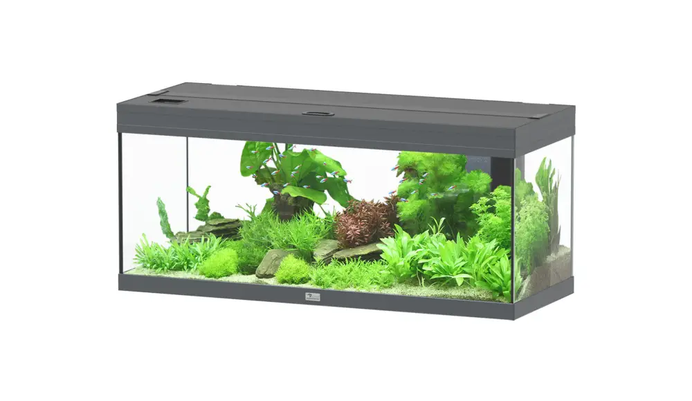 Aquatlantis – Aquarium PRESTIGE ULTRA 100 LED RGBW BIOBOX 85L – Gris Anthracite Soldes