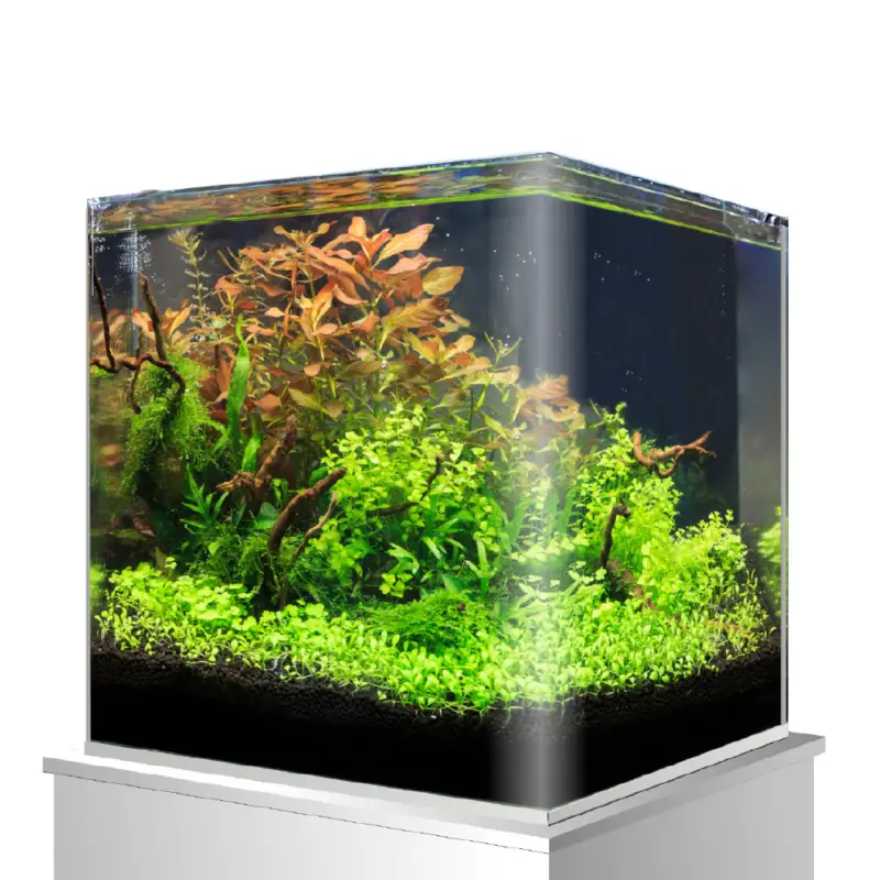 Amtra - Cuve Nanotank 60 - 38x38x43cm Populaire