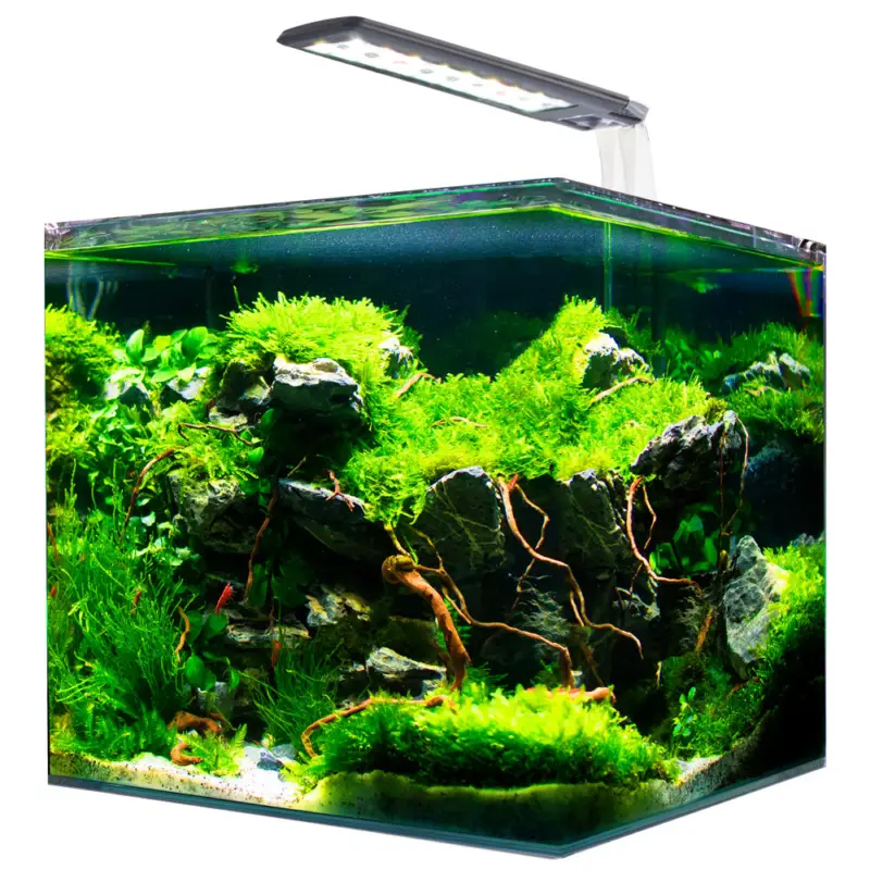 Amtra – Kit Aquarium Nanotank System 15 – 30x20x25cm Nouvel Arrivage