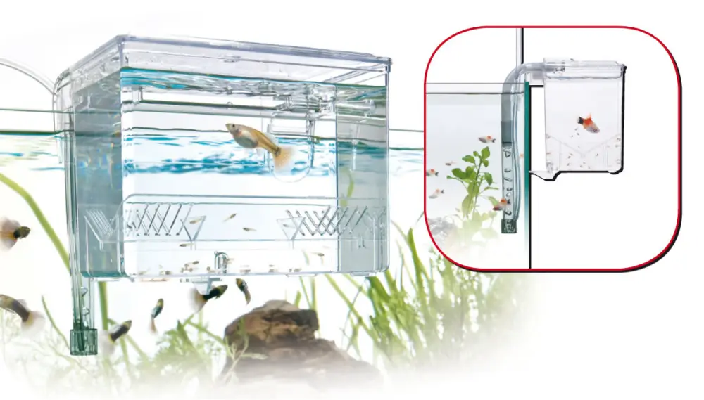 Amtra – Boite D'&eacute;l&eacute;vage Externe Hang On Nouvelle Collection