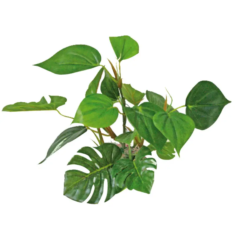 Promotion Amtra – D&eacute;coration Plant Replica Anubias – 20cm