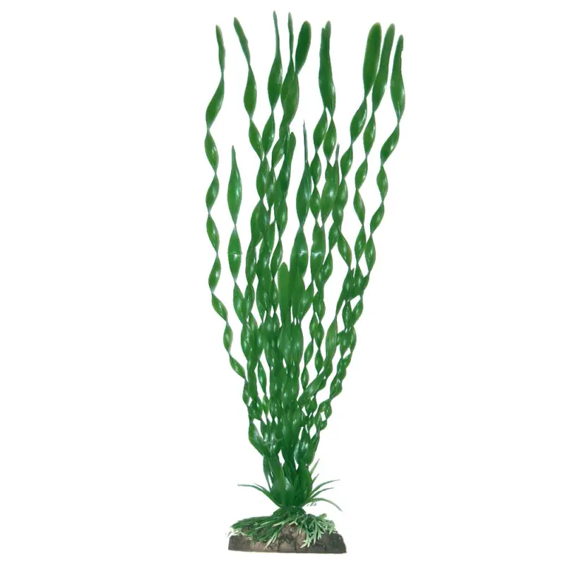 Solde Amtra – D&eacute;coration Plante Classic Valisneria Major – L