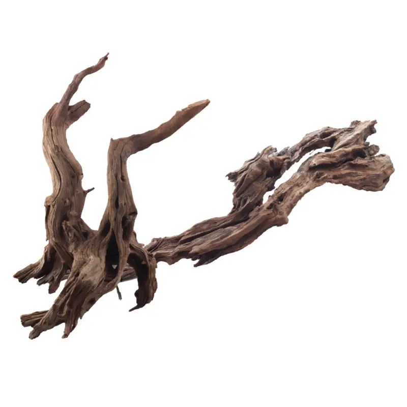 Amtra – Racine Naturelle Bois Ikebana – 30/50cm Acheter Direct