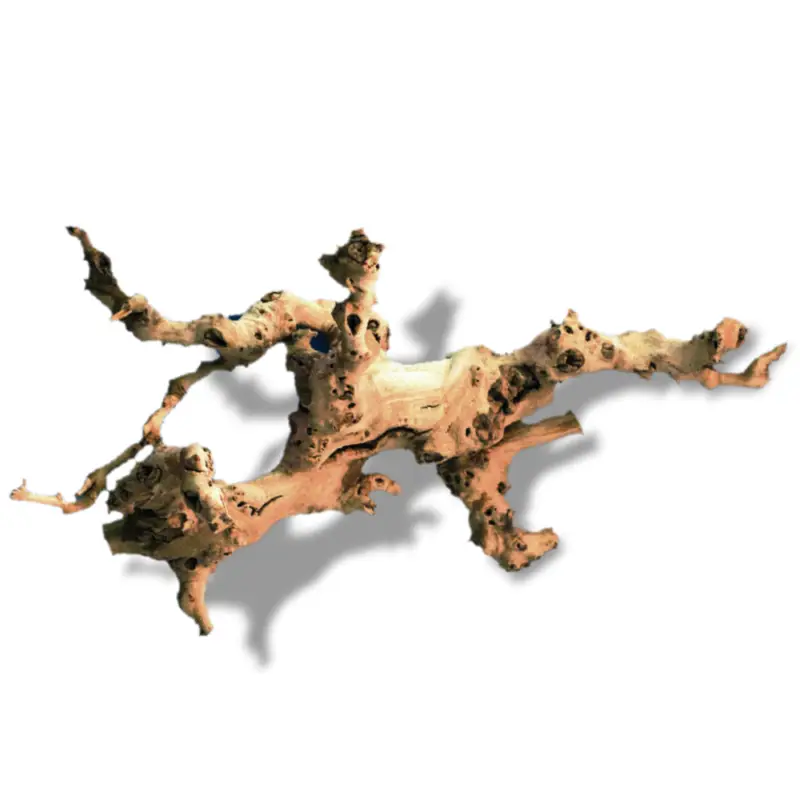 Amtra – D&eacute;coration Racine de Vigne pour Terrarium – L Prix Promo
