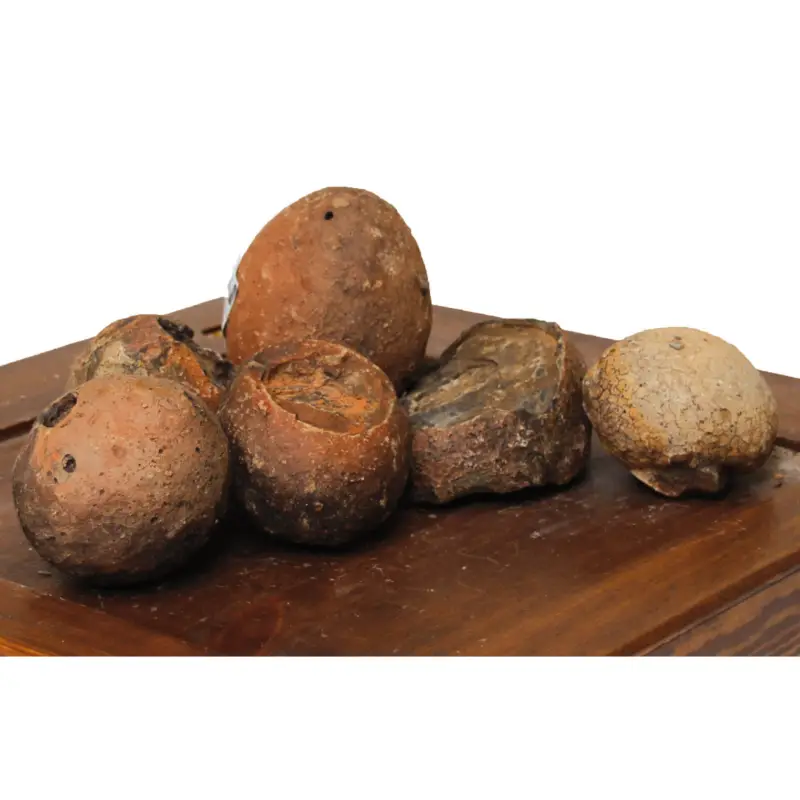Amtra – D&eacute;coration Roche Oeufs De Dinosaure Super Prix