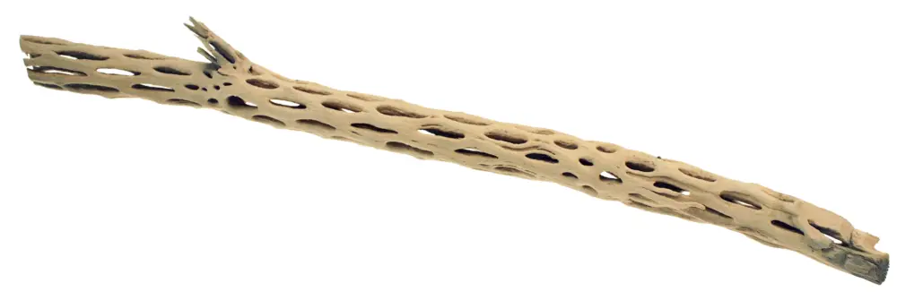 Retour Gratuit Amtra - Racine Naturelle Red Wood