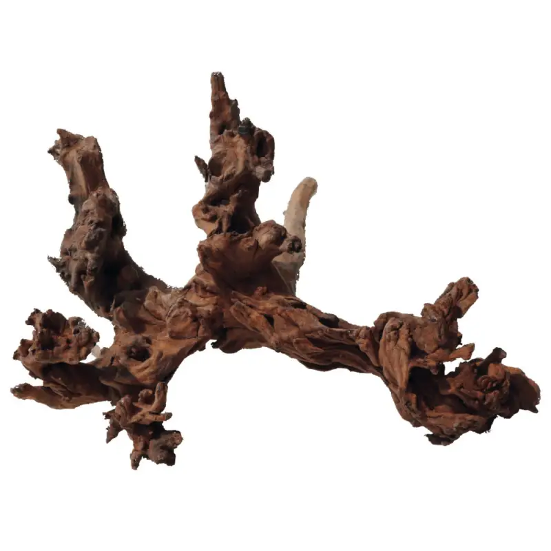 Vente Directe Amtra - Racine Naturelle Mystic Wood