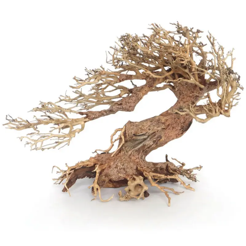 Achetez Aujourd&rsquo;hui Amtra -Racine Naturelle Oriental Wind 3 – S