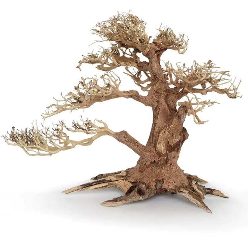 Pas Cher Amtra -Racine Naturelle Oriental Wind 4 - S