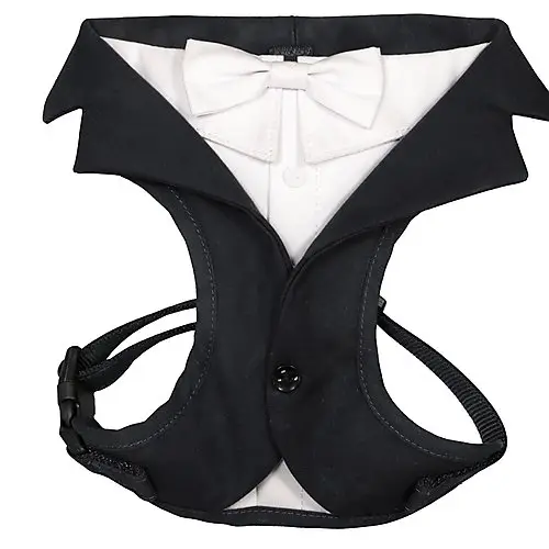 Commander Maintenant Croci - Harnais Ceremony Groom Noir pour Chiens