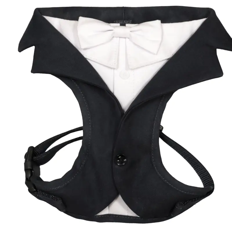 Croci – Harnais Ceremony Groom Noir pour Chiens Nouvel Arrivage