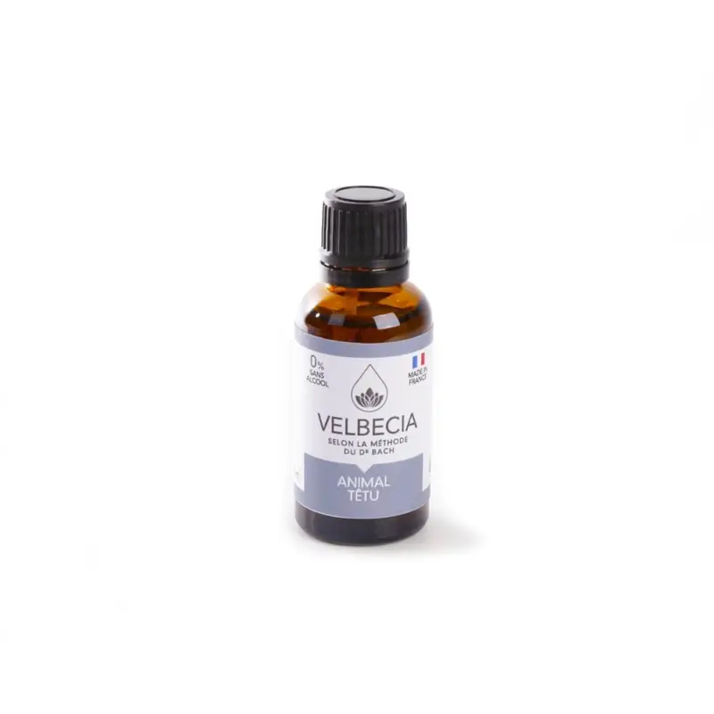 Velbecia – Fleur de Bach T&ecirc;tu pour Chiens et Chats – 30ml Dernier Modèle