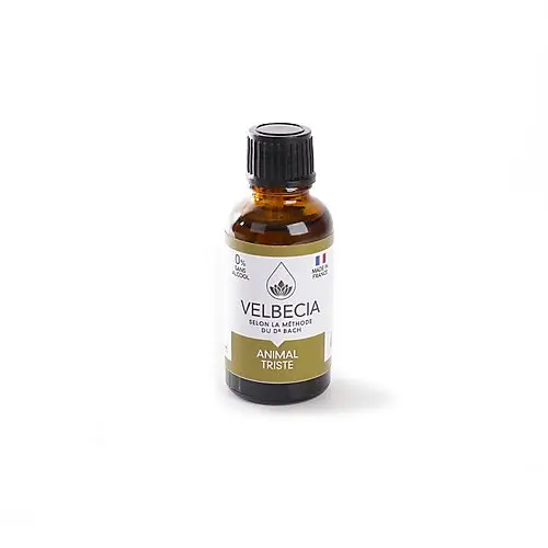 Meilleur Choix Velbecia – Fleur de Bach Triste pour Chiens et Chats – 30ml