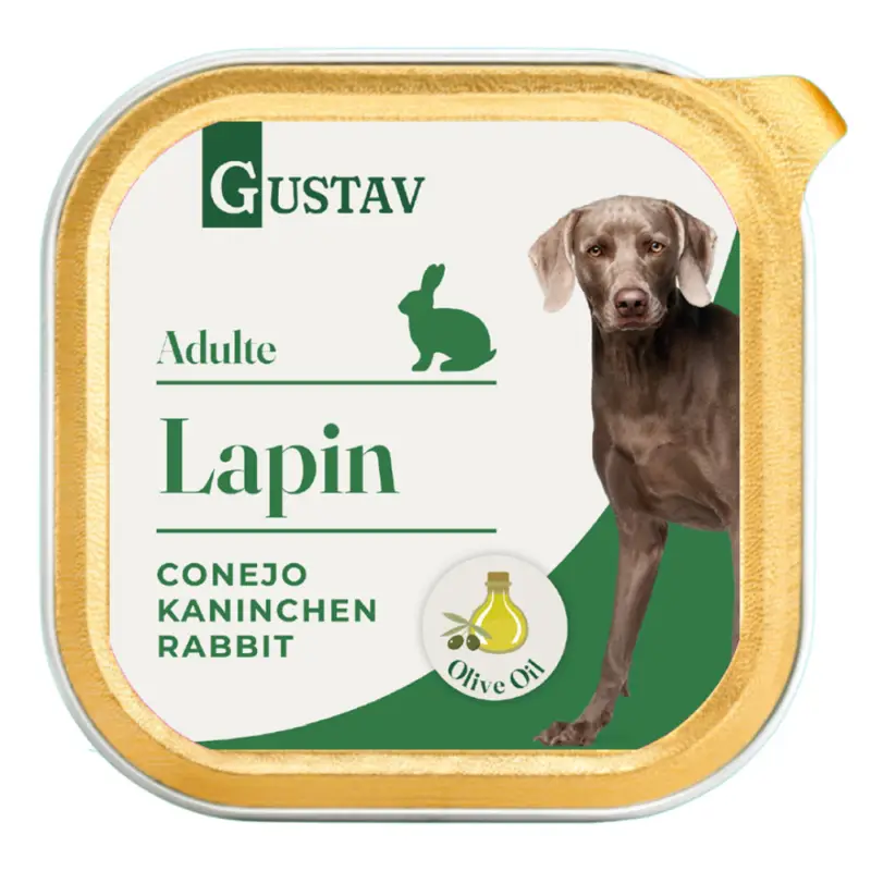 Nouvelle Collection Gustav – P&acirc;t&eacute;e Adulte au Lapin pour Chiens – 300g