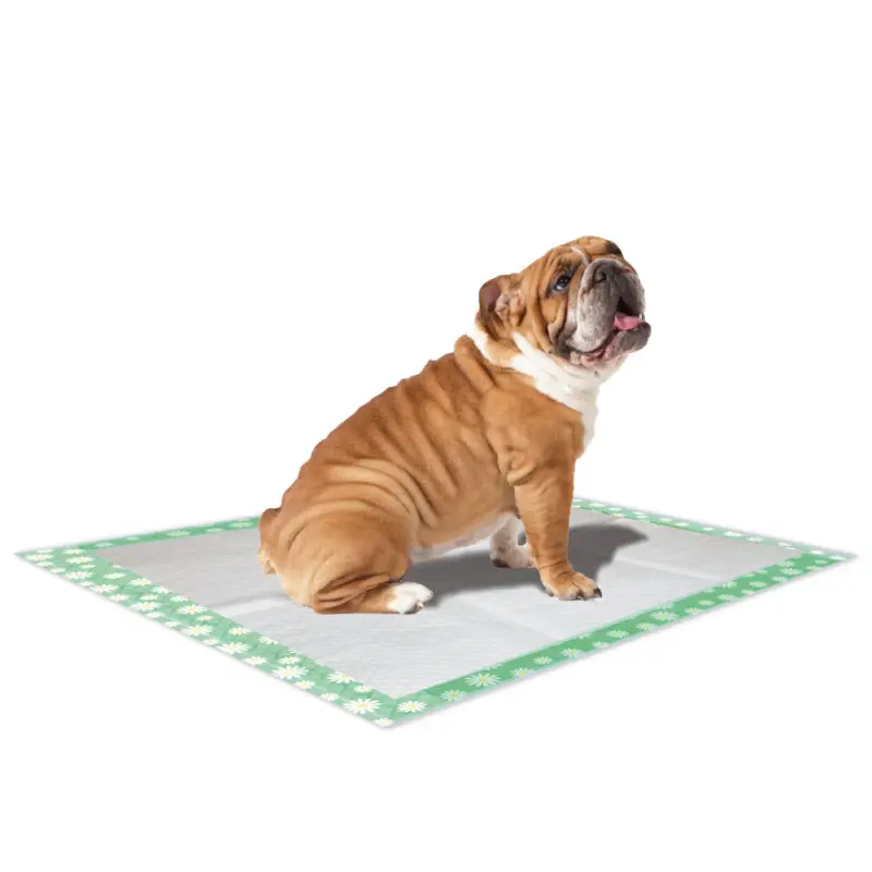 Vente Directe Croci – Tapis Hyg&eacute;nique Super Nappy Daisy pour Chiots – 84x57cm