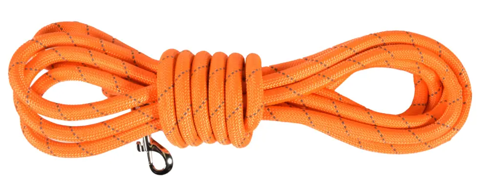 Affaire À Saisir Bobby - Longe Walk Orange pour Chiens