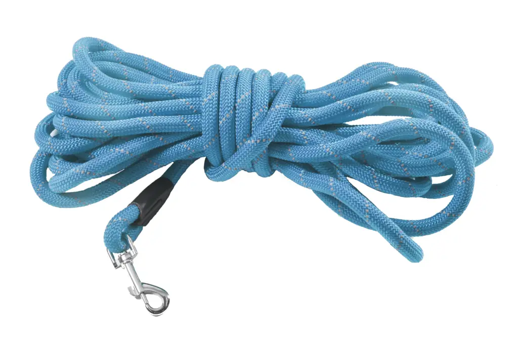 Bobby - Longe Walk Bleu pour Chiens Offre Limitée