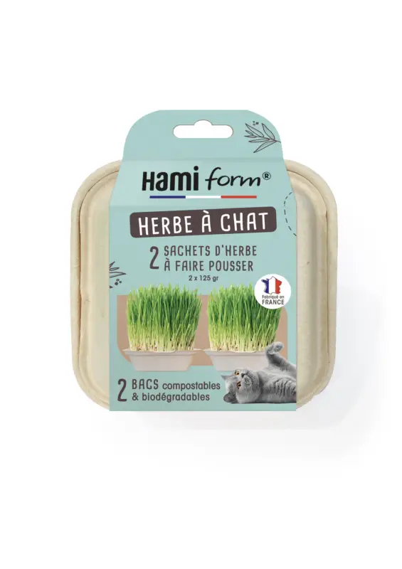 Hamiform – Herbe &agrave; Chat Pr&ecirc;t &agrave; faire Pousser – 2 x 125g Bon Marché