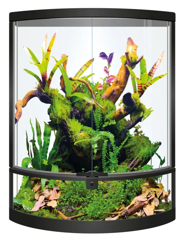 Meilleur Prix Repto - Terrarium Terra Half-moon - 56x28x64cm