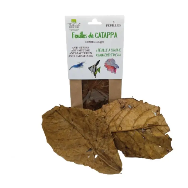 Thibaud - Feuilles de Catappa pour Poissons d'Eau Douce Certifié