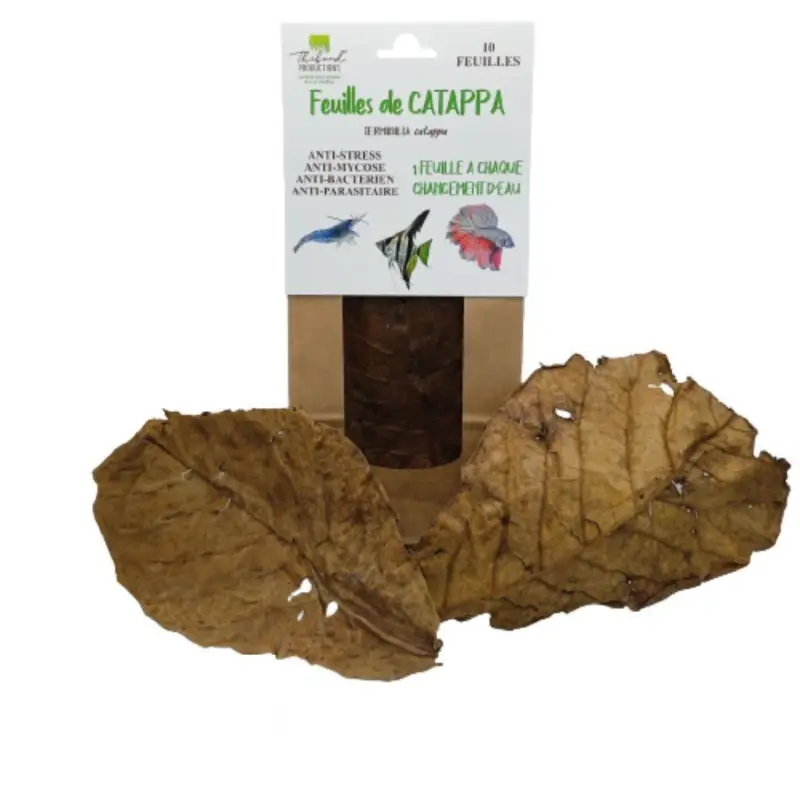 Meilleure Vente Thibaud – Feuilles de Catappa pour Poissons d'Eau Douce – x10