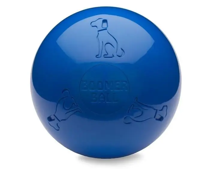 Company of Animals – Jouet Boomer Ball pour Chiens Haute Qualité