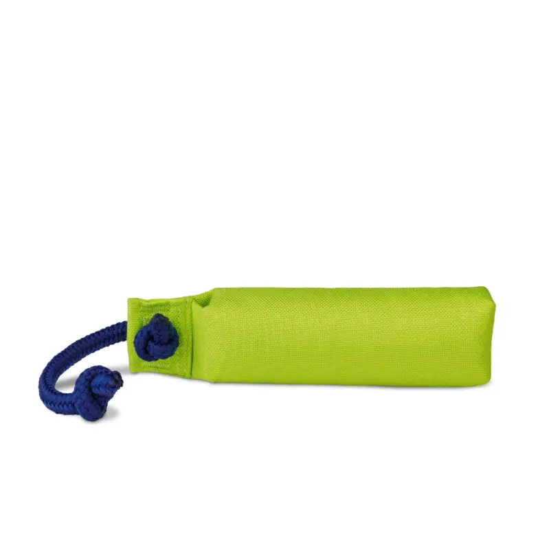 Commander Vite Company of Animals – Jouet Coachi Training Dumbbell Vert pour Chiens