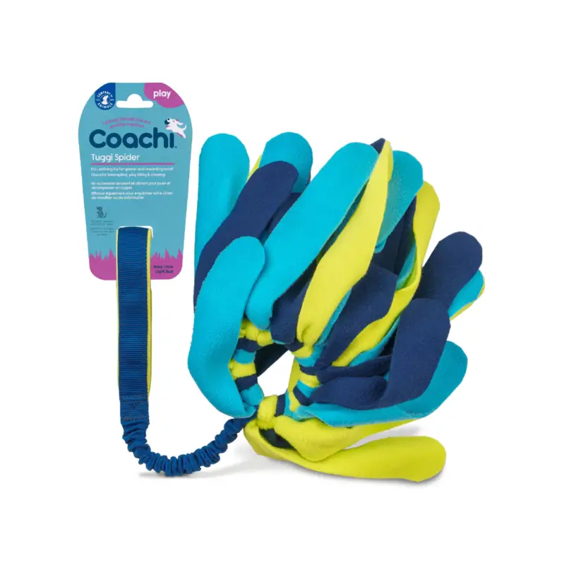 Coachi – Jouet Tuggi Spider pour Chiens – Bleu/Jaune Meilleure Vente