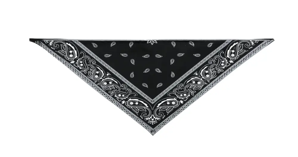 Remise Wouapy - Bandana Noir pour Chiens
