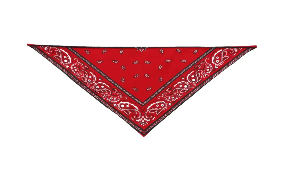 Affaire À Saisir Wouapy - Bandana Rouge pour Chiens