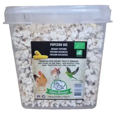 Quantité Limitée Octave Bauchant – Friandises Pop-corn Poules Rongeurs et Oiseaux – 250g