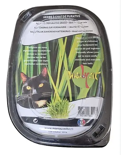 Prix Choc WasaByCat – Herbe &agrave; Chat D&eacute;purative – 170g