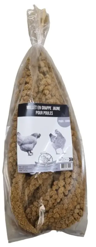 Dernier Modèle Octave Bauchant – Millet Jaune en Grappes pour Poules – 500g